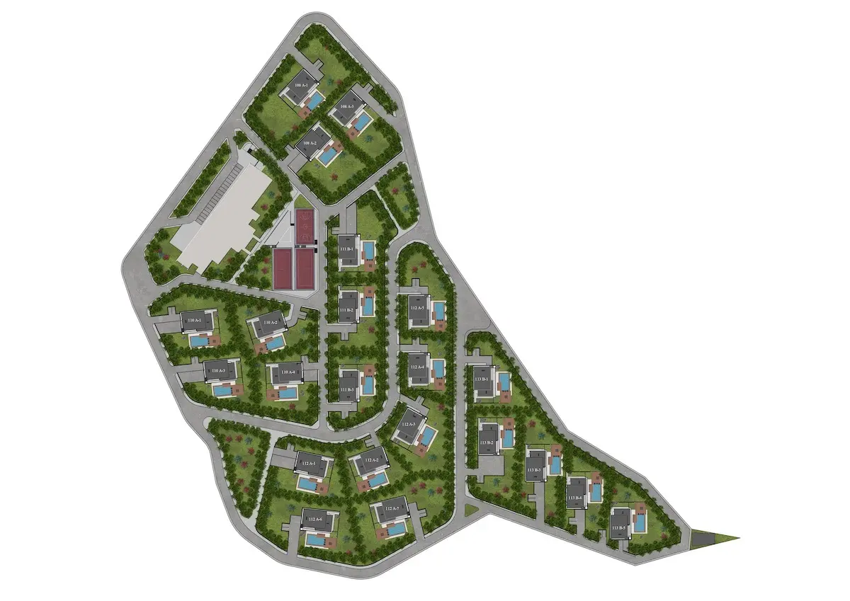 Complex map